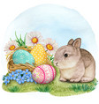 watercolor cute baby rabbit with nest full vector image vector image