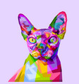 colorful sphynx cat on pop art style vector image