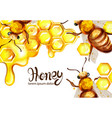 honeycomb and bees watercolor template vector image