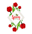 watercolor spring floral frame vector image