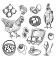 chicken farm products sketches set vector image