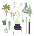 witchcraft things set herbs crystals candles vector image
