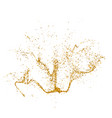 sparkling glitter border isolated on white vector image