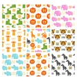 african animals set seamless pattern vector image