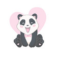 panda animal vector image