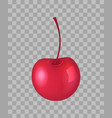 cherry closeup transparent vector image vector image