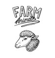 farm animal head of a domestic lamb or sheep vector image vector image