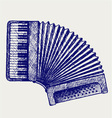 accordion vector image vector image