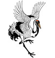 dancing crane bird vector image