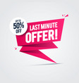 flash sale last minute offers 50 off label vector image vector image