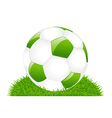 green soccer ball on grass vector image
