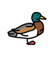 duck bird color icon vector image vector image