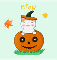 happy kawaii kitten sitting in a halloween vector image vector image