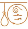 ropes vector image