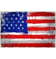 color usa paint flag vector image