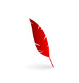 red feather vector image
