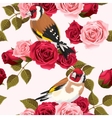 seamless goldfinch and roses vector image