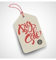 big sale inscription calligraphy lettering vector image