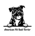 american pit bull terrier peeking dog - head vector image