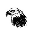 eagle face sign vector image vector image