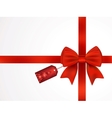 gift bow vector image