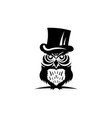 owl logo vector image vector image