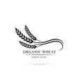 grain logo wheat symbol vector image