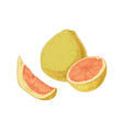 whole fruit slice segment and half pomelo vector image