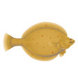 european fish vector image vector image