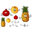 fresh peach pineapple and pomegranate fruits vector image