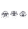 ornamental lotus set vector image
