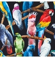 watercolor parrot pattern vector image vector image