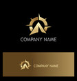 star navigation gold logo vector image