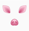 pig face vector image vector image