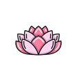 waterlily pink lotus thailand thai famous flower vector image