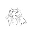 animal river common otter sea sketch vector image