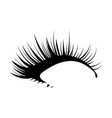 logo of eyelashes stylized hair abstract lines vector image vector image