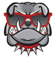 dog with retro glasses vector image