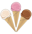 set of tasty ice cream color vector image