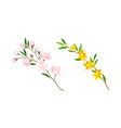 spring blooming tree and shrub branches set vector image