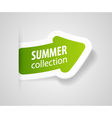 arrow tag vector image vector image