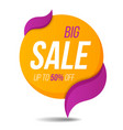 big sale label price tag banner sticker badge vector image