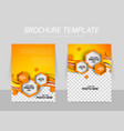 brochure background vector image