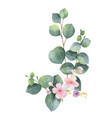 watercolor bouquet with green eucalyptus vector image vector image