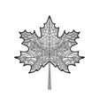 decorative maple leaf vector image