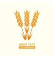 wheat ears design farm and agriculture concept vector image vector image