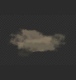 cloud dust with dirt particles realistic vector image vector image