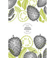 hand drawn sketch style soursop fruit banner vector image