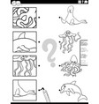 match cartoon marine animals and clippings game vector image