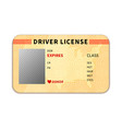 realistic driver license with place for photo vector image vector image